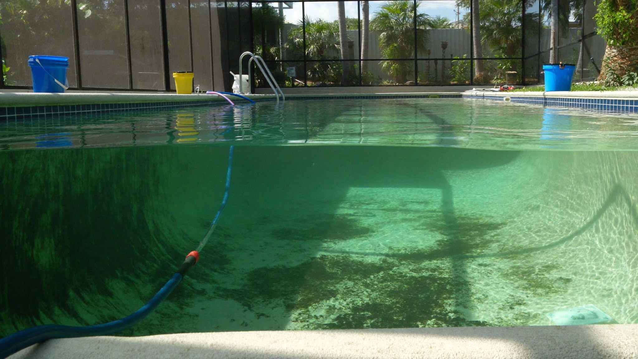 Green pool mid-recovery